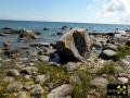 Findling Siebenschneiderstein und weitere Geschiebe an der Küste bei Kap Arkona, Insel Rügen, Mecklenburg-Vorpommern, (D) (19) 01.07.15.JPG